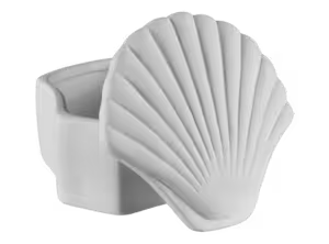 Seashell Box