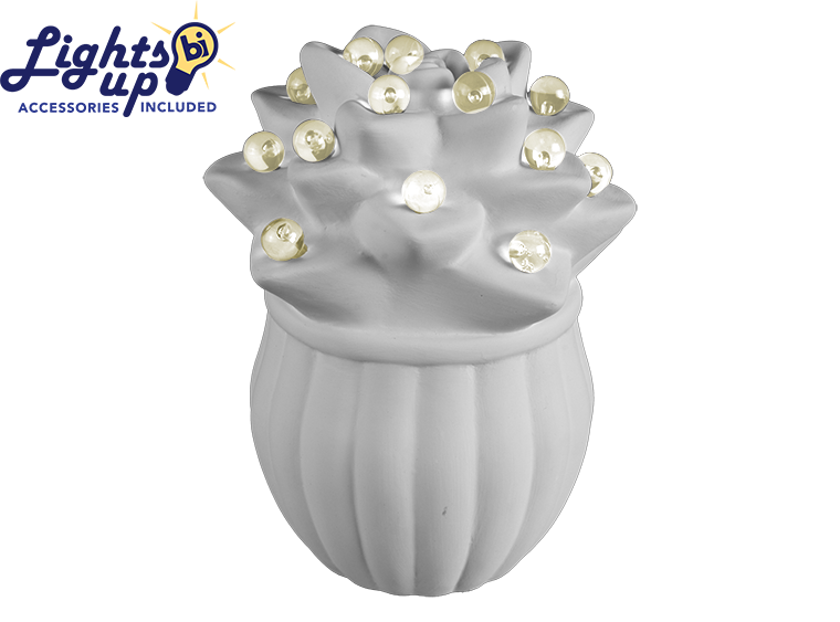 Sweet Succulent Light Up