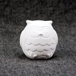 Little Owl Party Animal