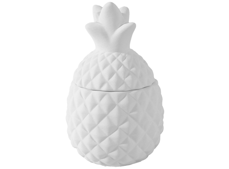 Mini Pineapple Box