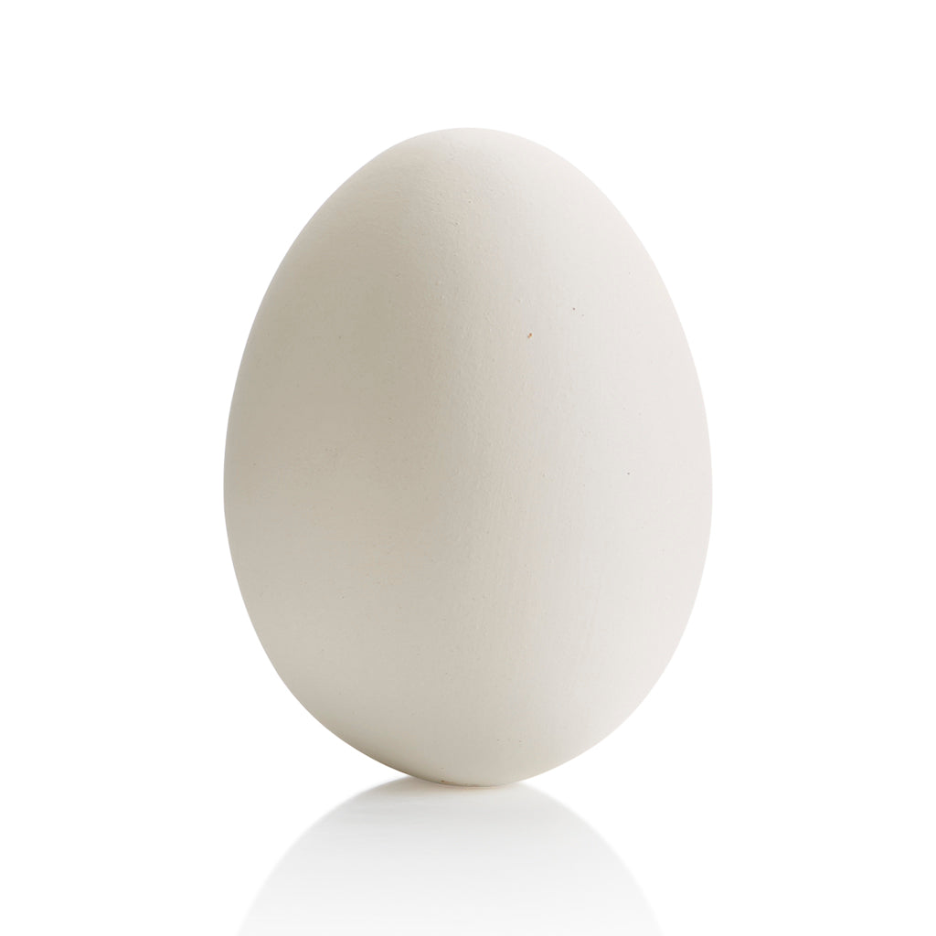 Large Duck Egg